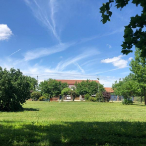  Agriturismo il Podere - Vedelago - Treviso  Веделаго